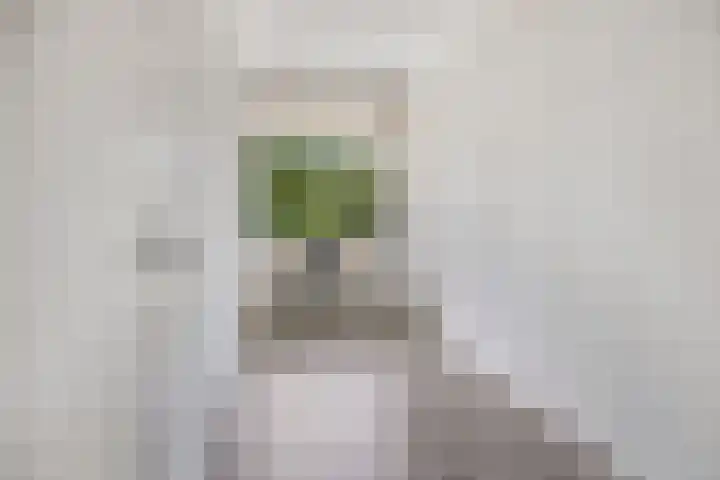 Kringloop 21 Amstelveen thumbnail 13
