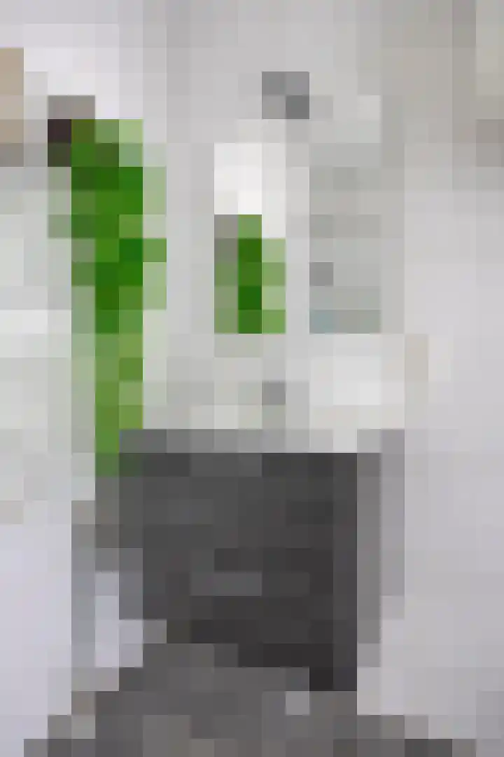 Kringloop 21 Amstelveen thumbnail 15