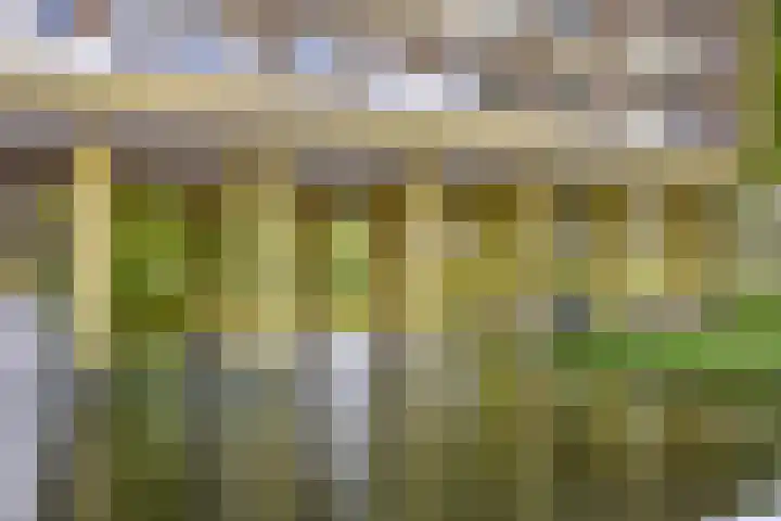 Kringloop 21 Amstelveen thumbnail 19