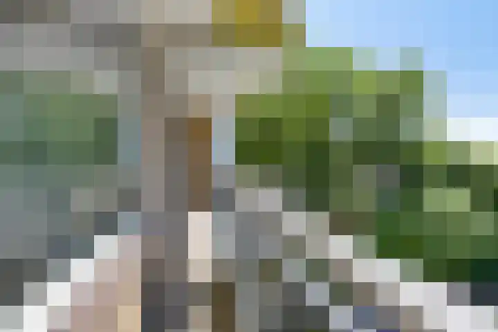 Kringloop 21 Amstelveen thumbnail 4