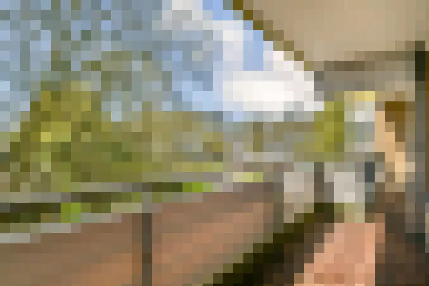 Kringloop 25 Amstelveen thumbnail 15