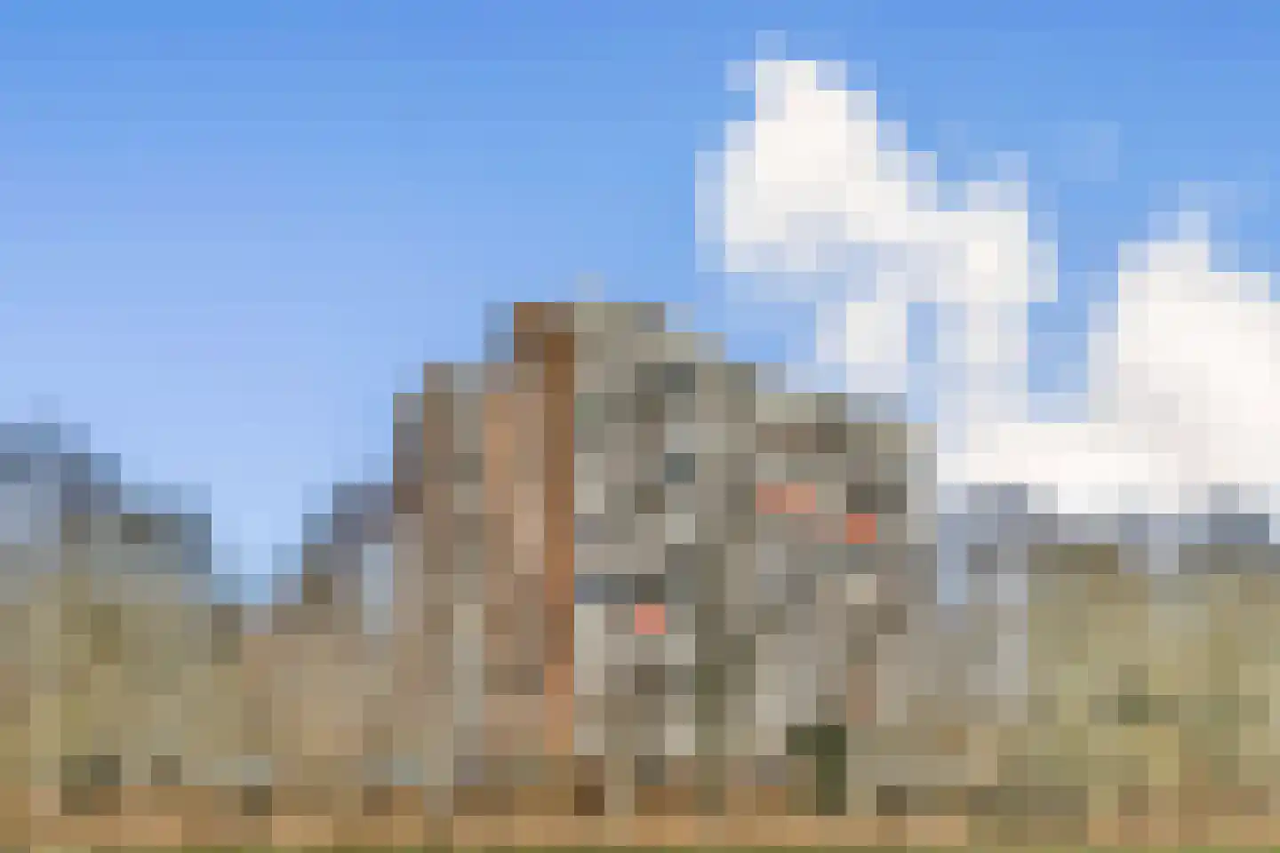 Kringloop 335 Amstelveen