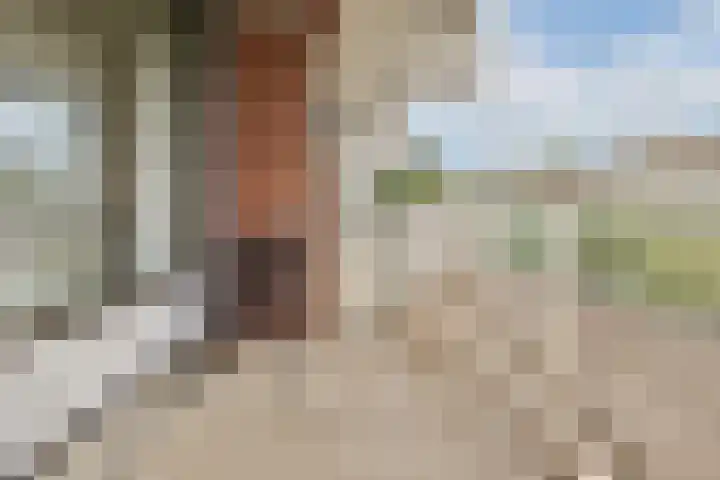 Kringloop 337 Amstelveen thumbnail 11