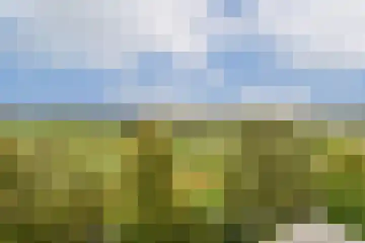 Kringloop 337 Amstelveen thumbnail 12