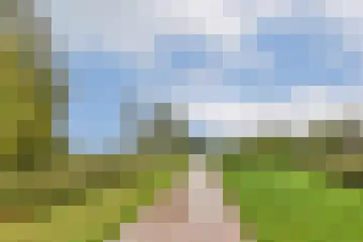 Kringloop 337 Amstelveen thumbnail 18