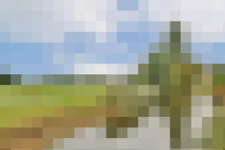 Kringloop 337 Amstelveen thumbnail 19