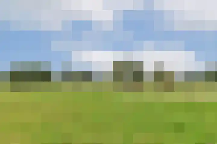 Kringloop 337 Amstelveen thumbnail 20