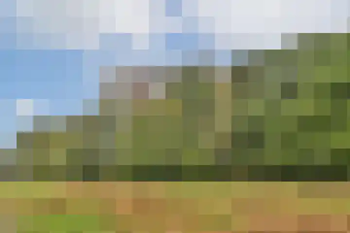 Kringloop 337 Amstelveen thumbnail 5