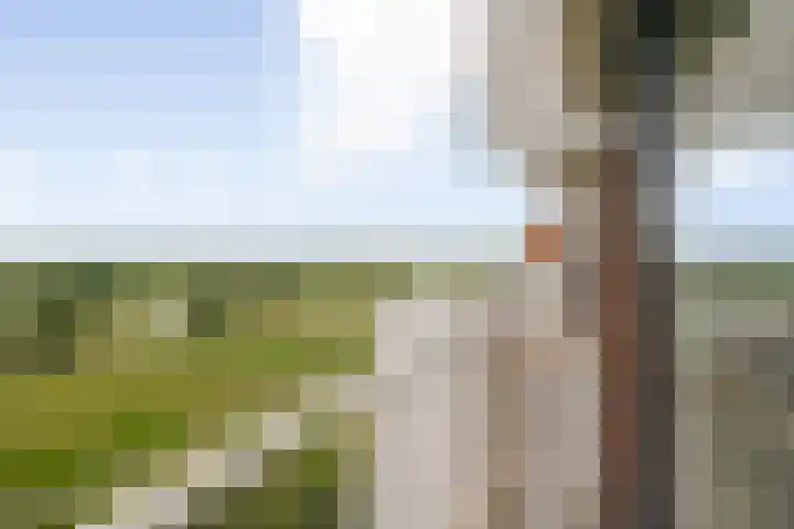Kringloop 421 Amstelveen thumbnail 12