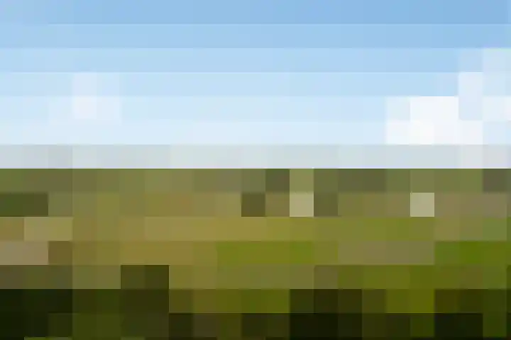 Kringloop 421 Amstelveen thumbnail 13