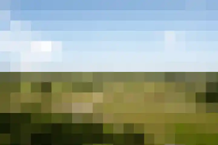 Kringloop 421 Amstelveen thumbnail 14