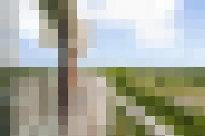 Kringloop 421 Amstelveen thumbnail 15