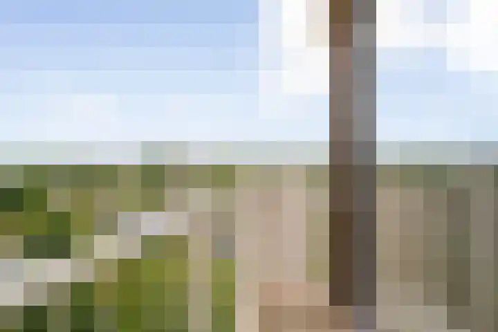 Kringloop 421 Amstelveen thumbnail 20