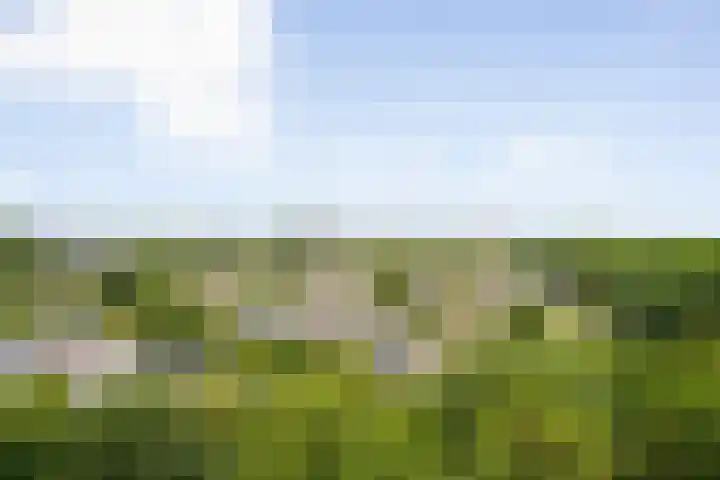 Kringloop 421 Amstelveen thumbnail 21