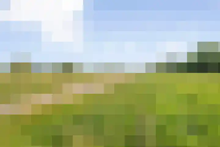 Kringloop 421 Amstelveen thumbnail 30