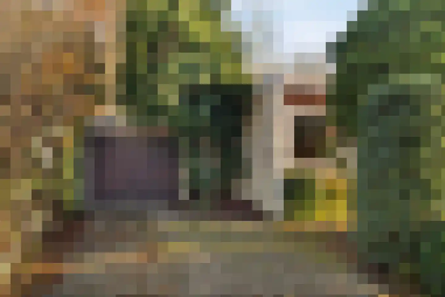 Kringloop 445 Amstelveen thumbnail 28