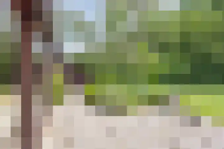 Kringloop 447 Amstelveen thumbnail 27