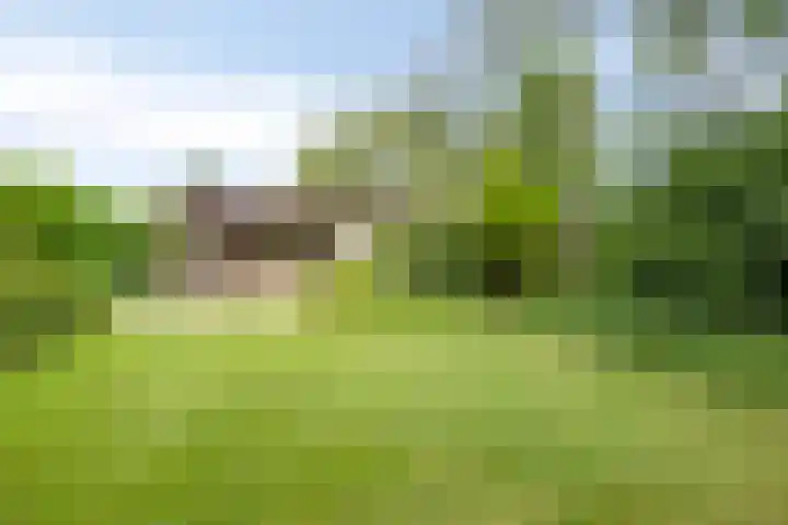 Kringloop 447 Amstelveen thumbnail 4