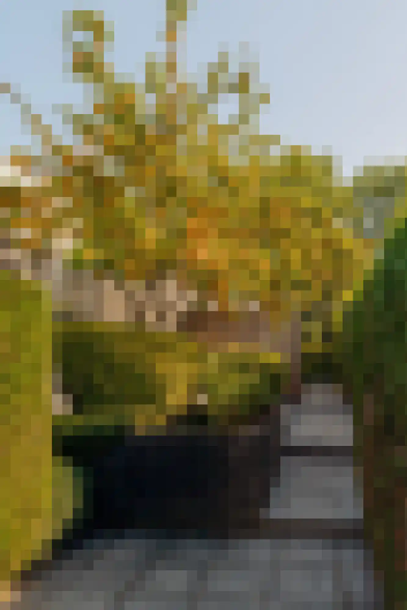 Kringloop 457 Amstelveen thumbnail 4
