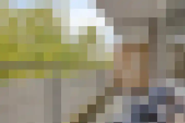 Kringloop 49 Amstelveen thumbnail 7