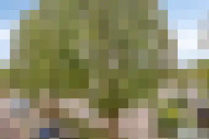 Kringloop 49 Amstelveen thumbnail 8