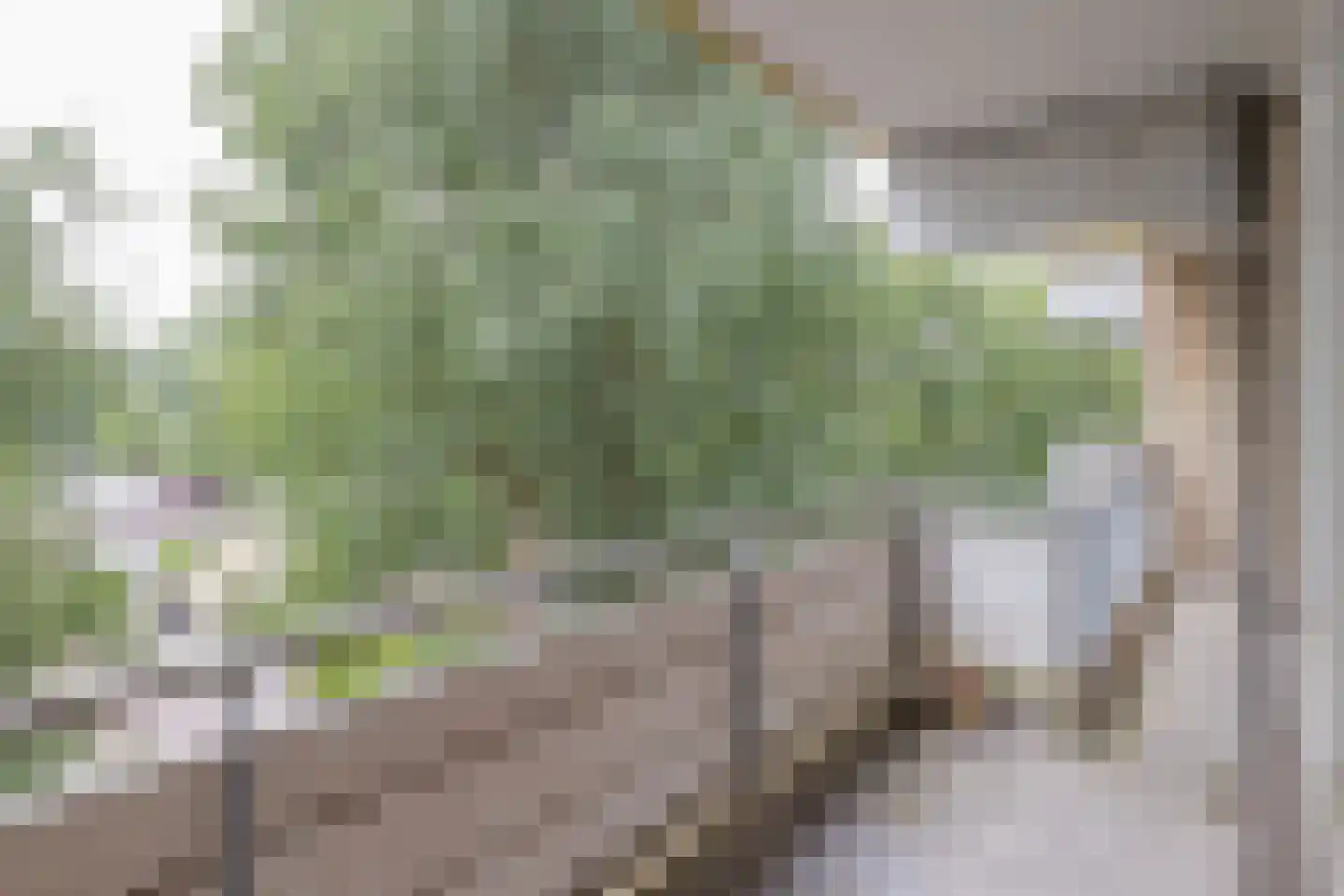 Kringloop 55 Amstelveen thumbnail 19