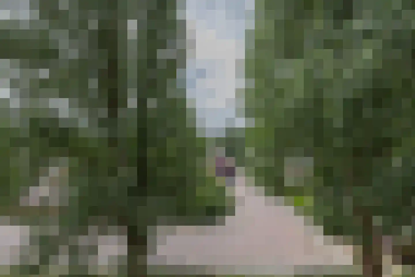 Kringloop 55 Amstelveen thumbnail 20