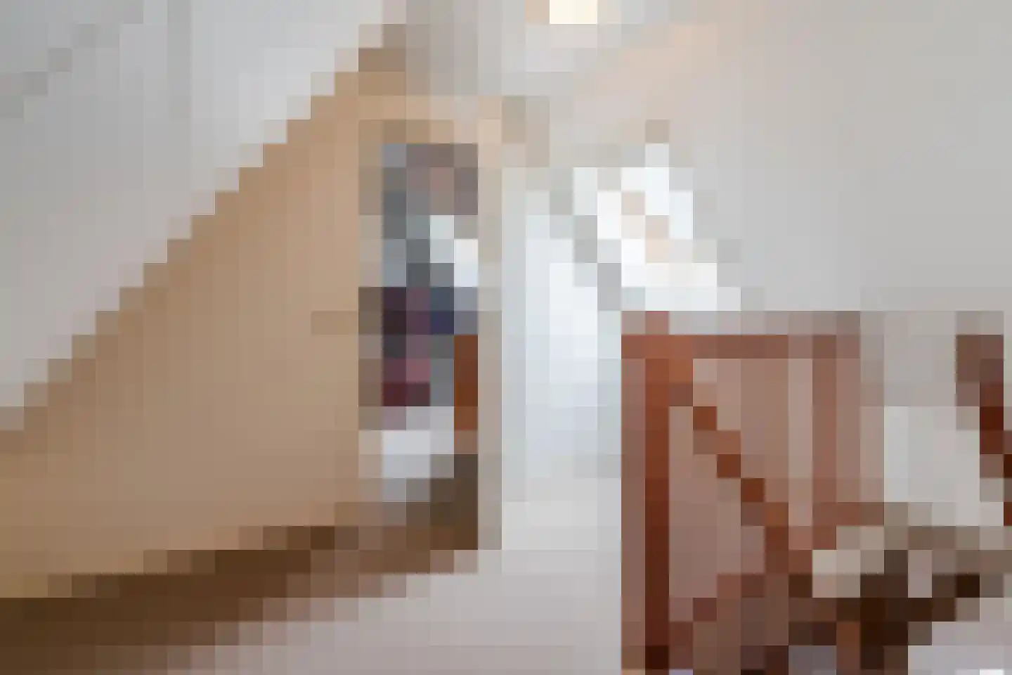 Kringsloot-oost 12 Dalfsen thumbnail 33