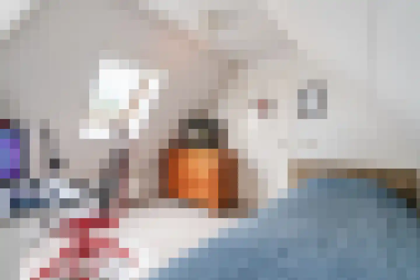Kringsloot-oost 12 Dalfsen thumbnail 36