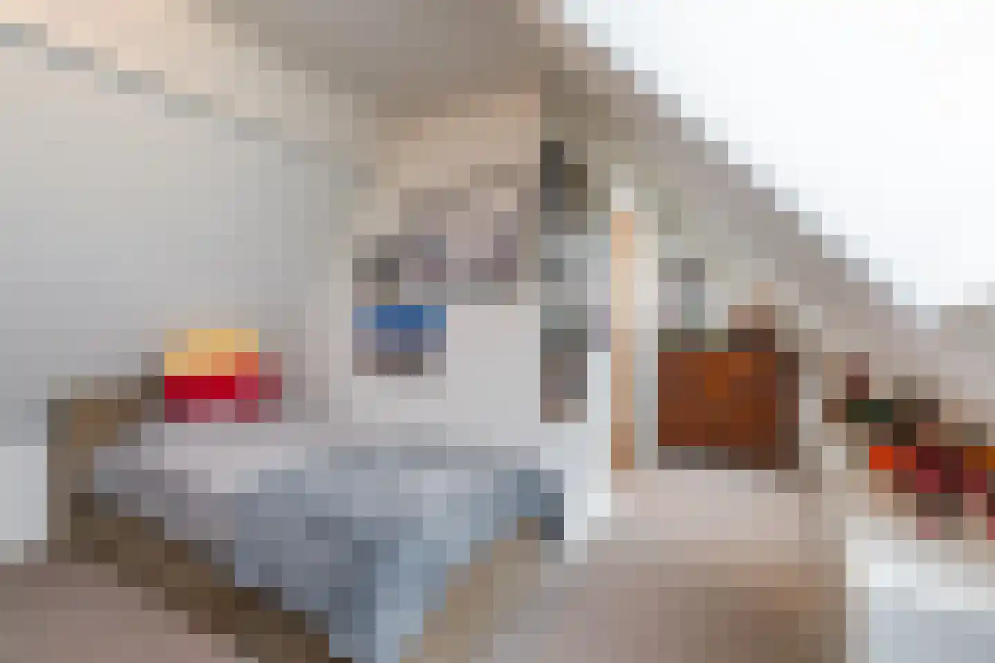 Kringsloot-oost 12 Dalfsen thumbnail 39