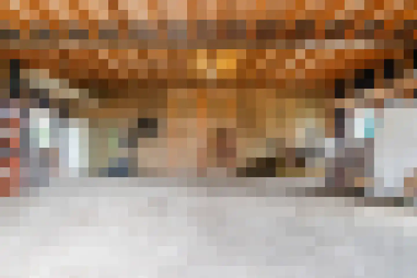 Kringsloot-oost 12 Dalfsen thumbnail 43