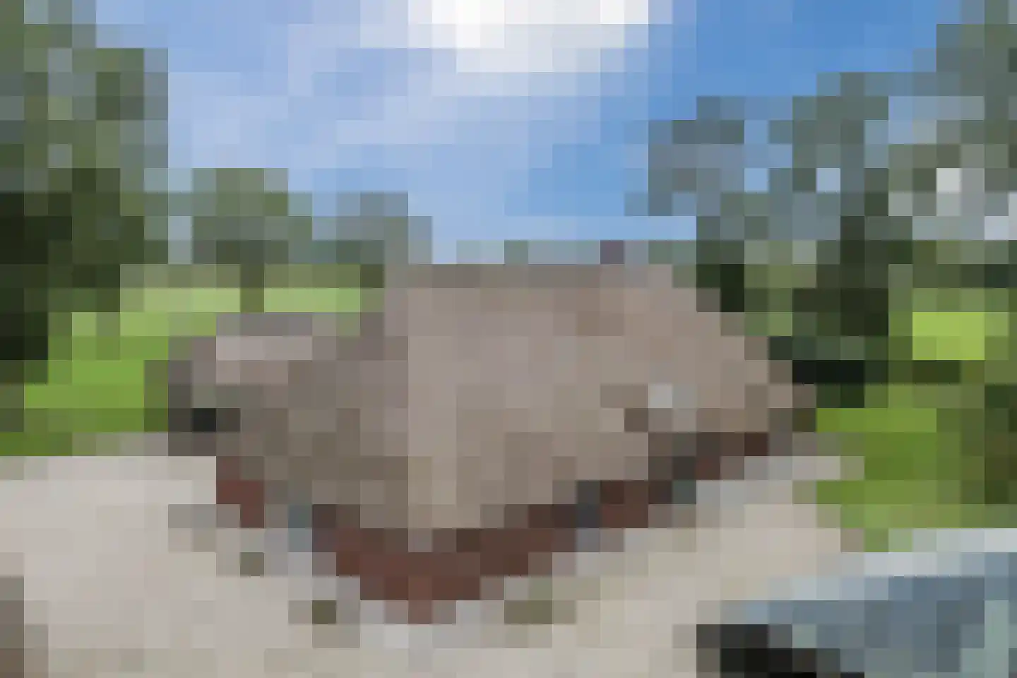 Kringsloot-oost 12 Dalfsen thumbnail 5