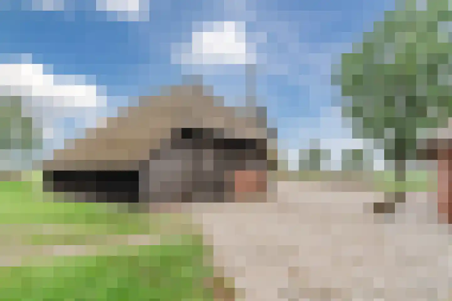 Kringsloot-oost 12 Dalfsen thumbnail 50
