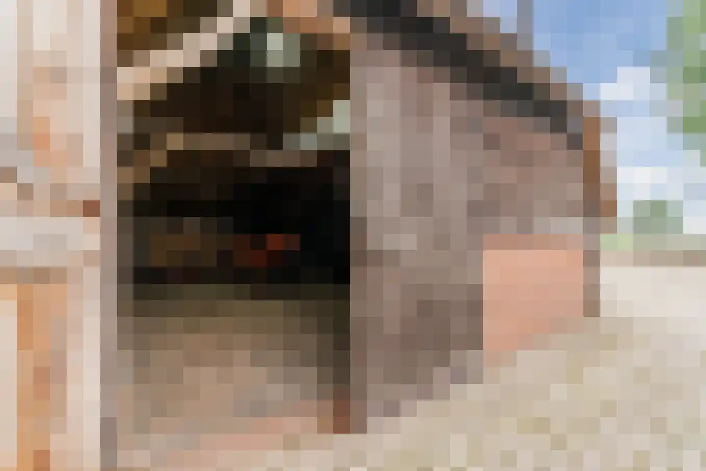 Kringsloot-oost 12 Dalfsen thumbnail 51