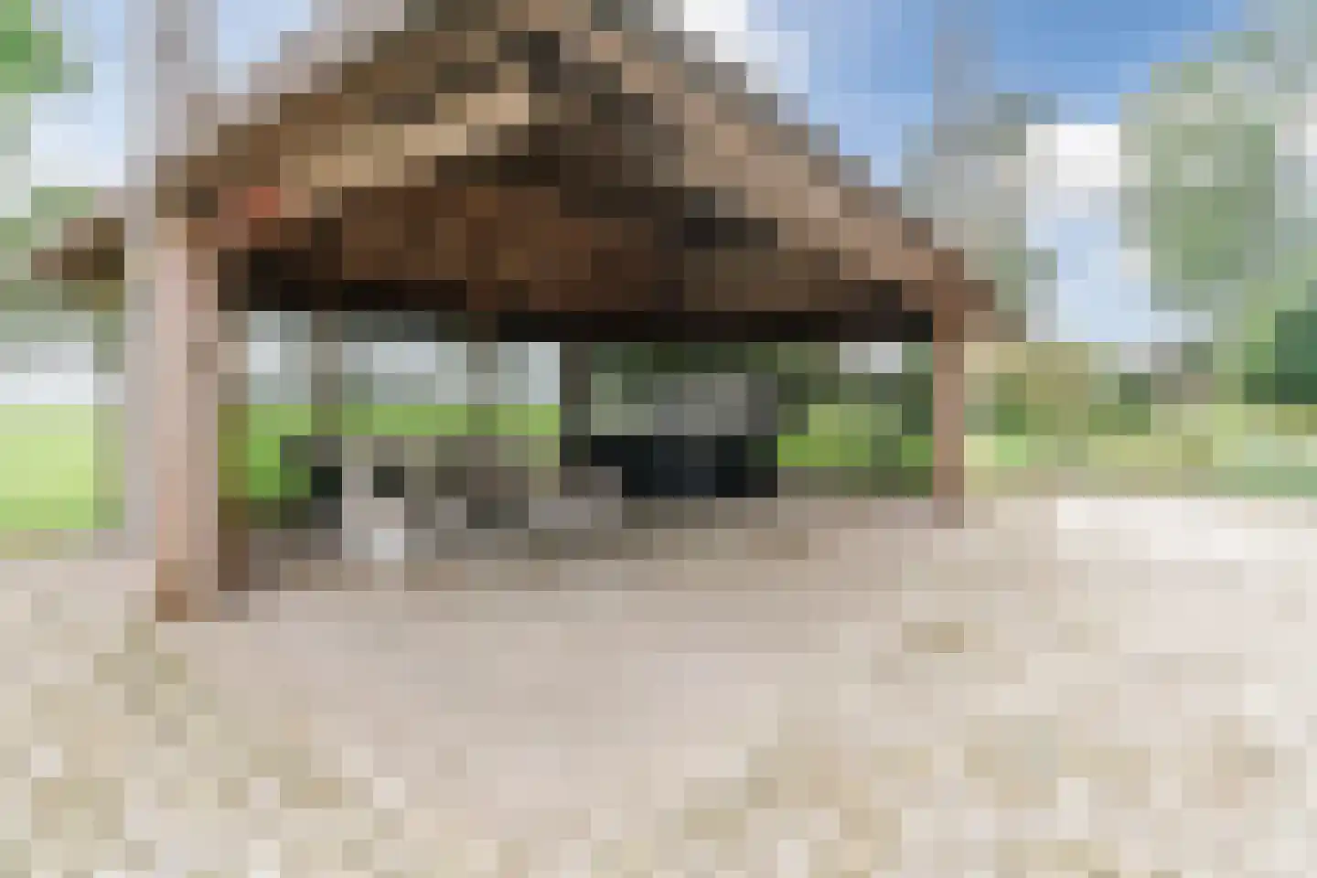 Kringsloot-oost 12 Dalfsen thumbnail 56