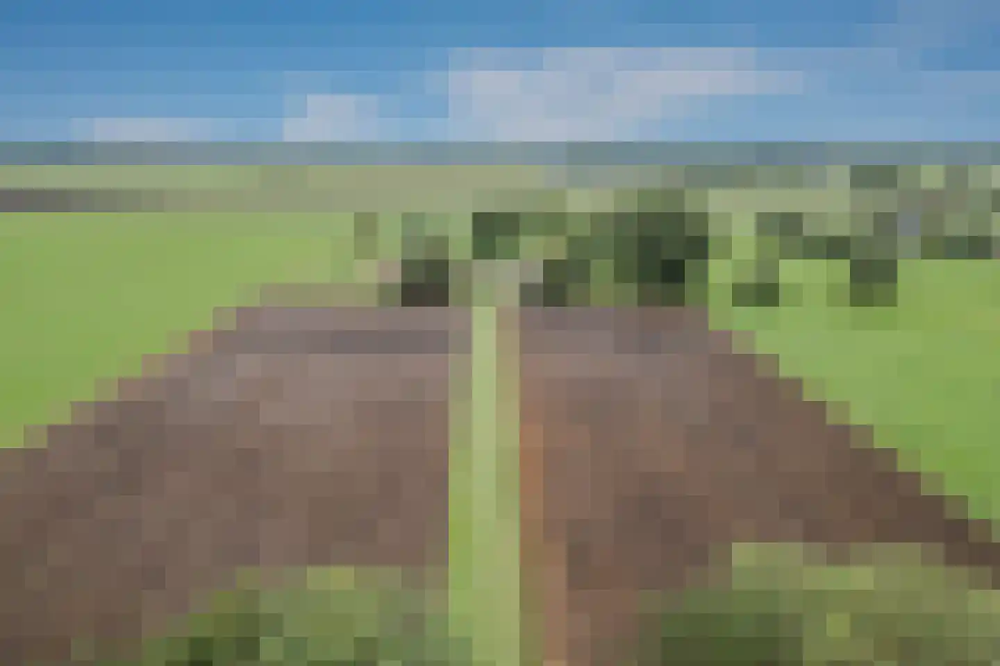 Kringsloot-oost 12 Dalfsen thumbnail 61
