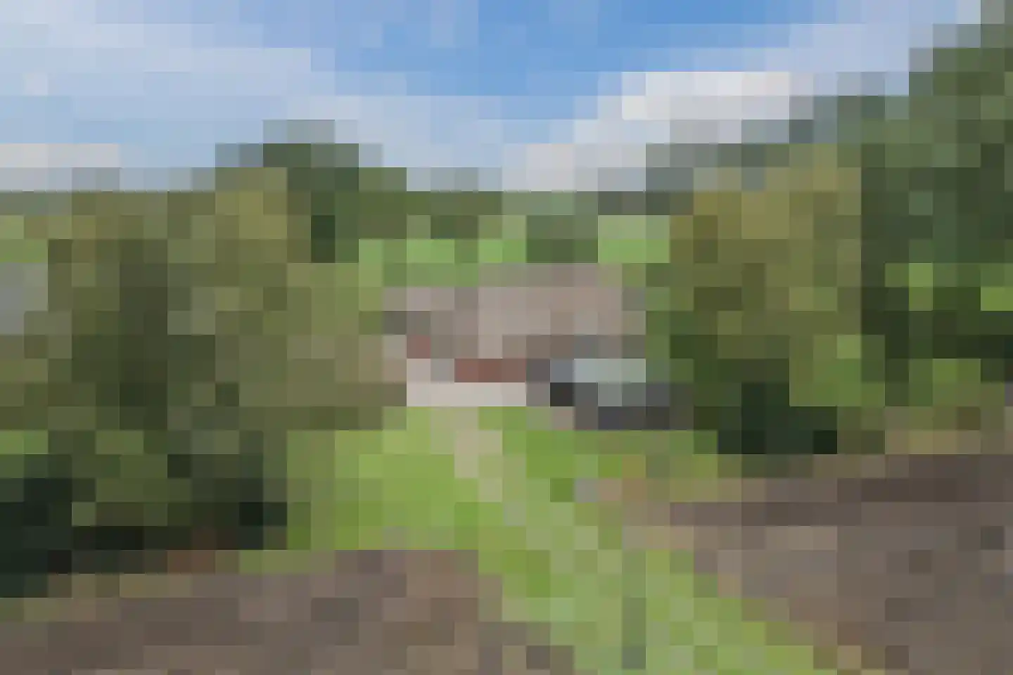 Kringsloot-oost 12 Dalfsen thumbnail 62