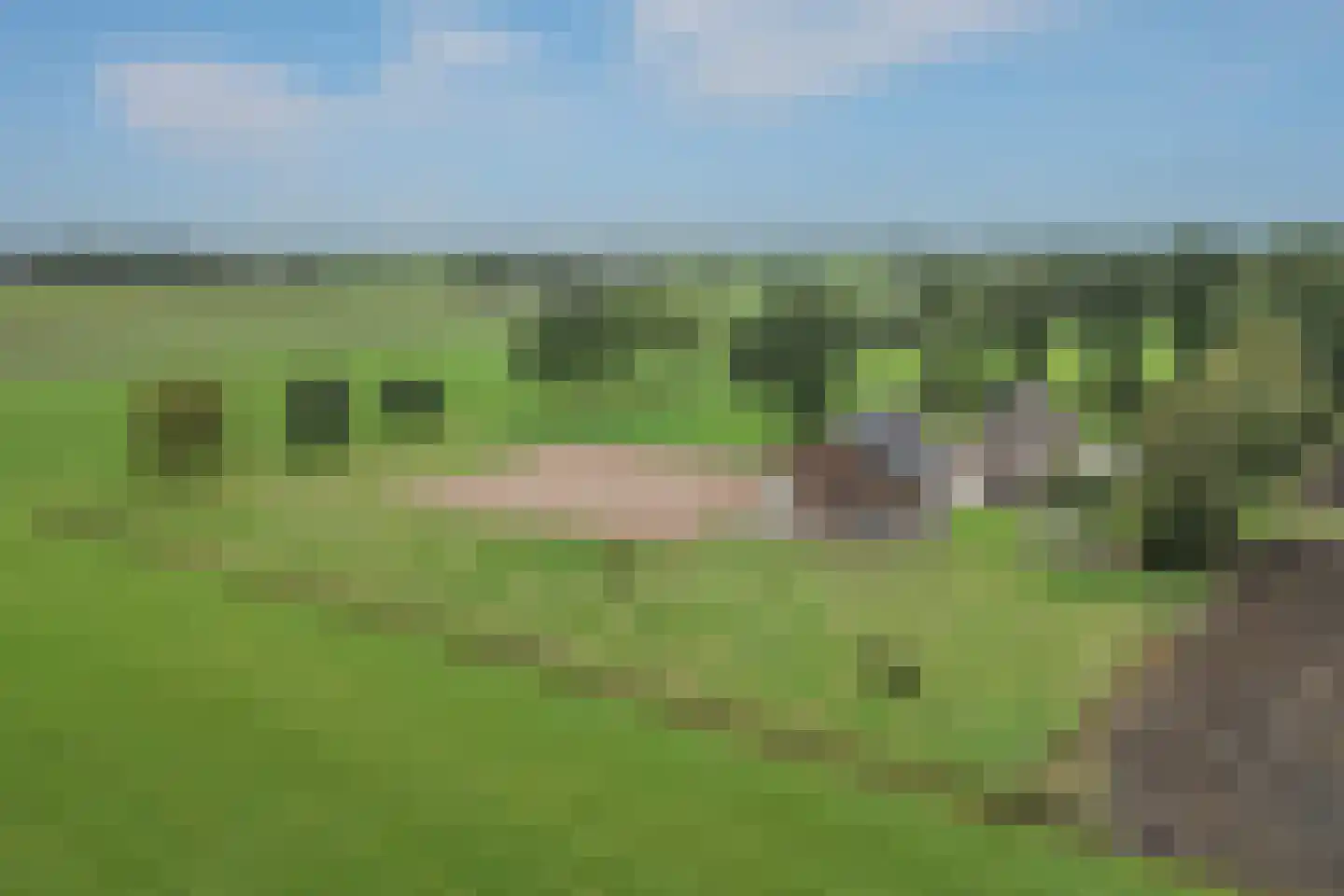 Kringsloot-oost 12 Dalfsen thumbnail 63