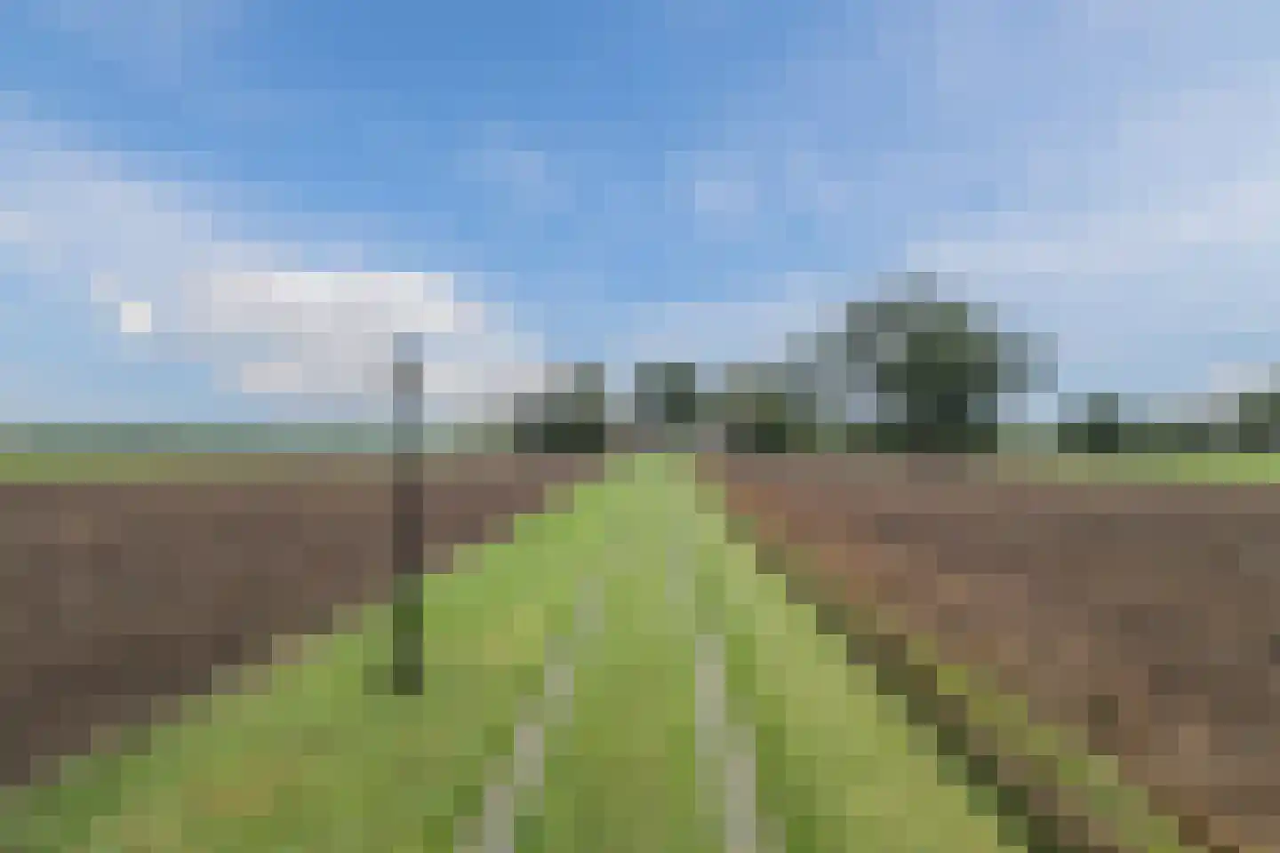 Kringsloot-oost 12 Dalfsen thumbnail 64