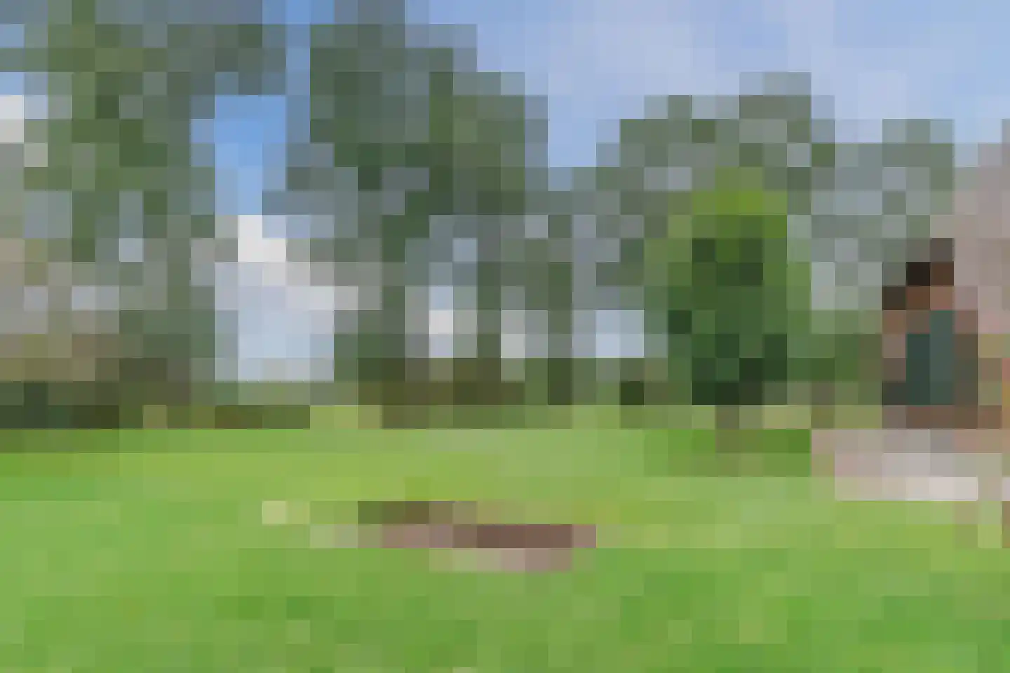 Kringsloot-oost 12 Dalfsen thumbnail 71