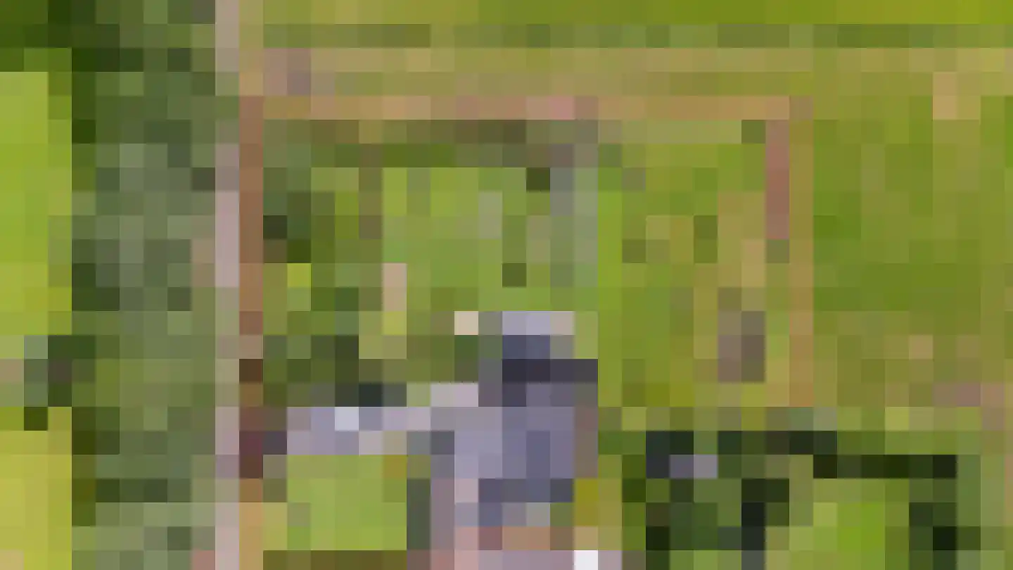 Kringsloot-west 16 Dalfsen thumbnail 4
