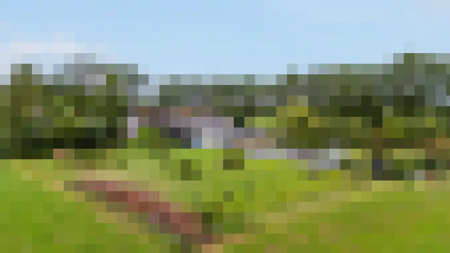 Kringsloot-west 16 Dalfsen thumbnail 40