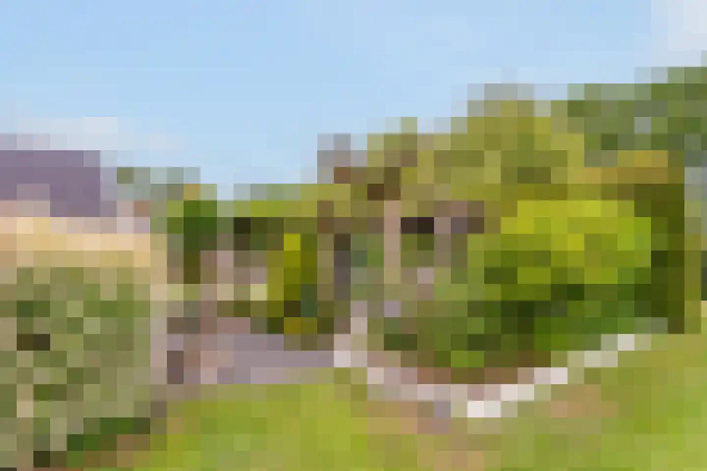 Kringsloot-west 16 Dalfsen thumbnail 41