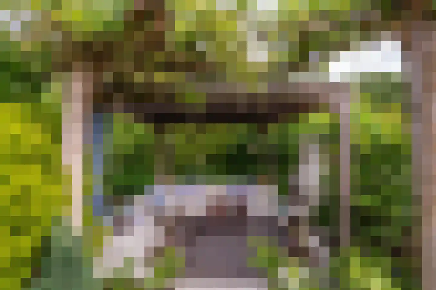 Kringsloot-west 16 Dalfsen thumbnail 42