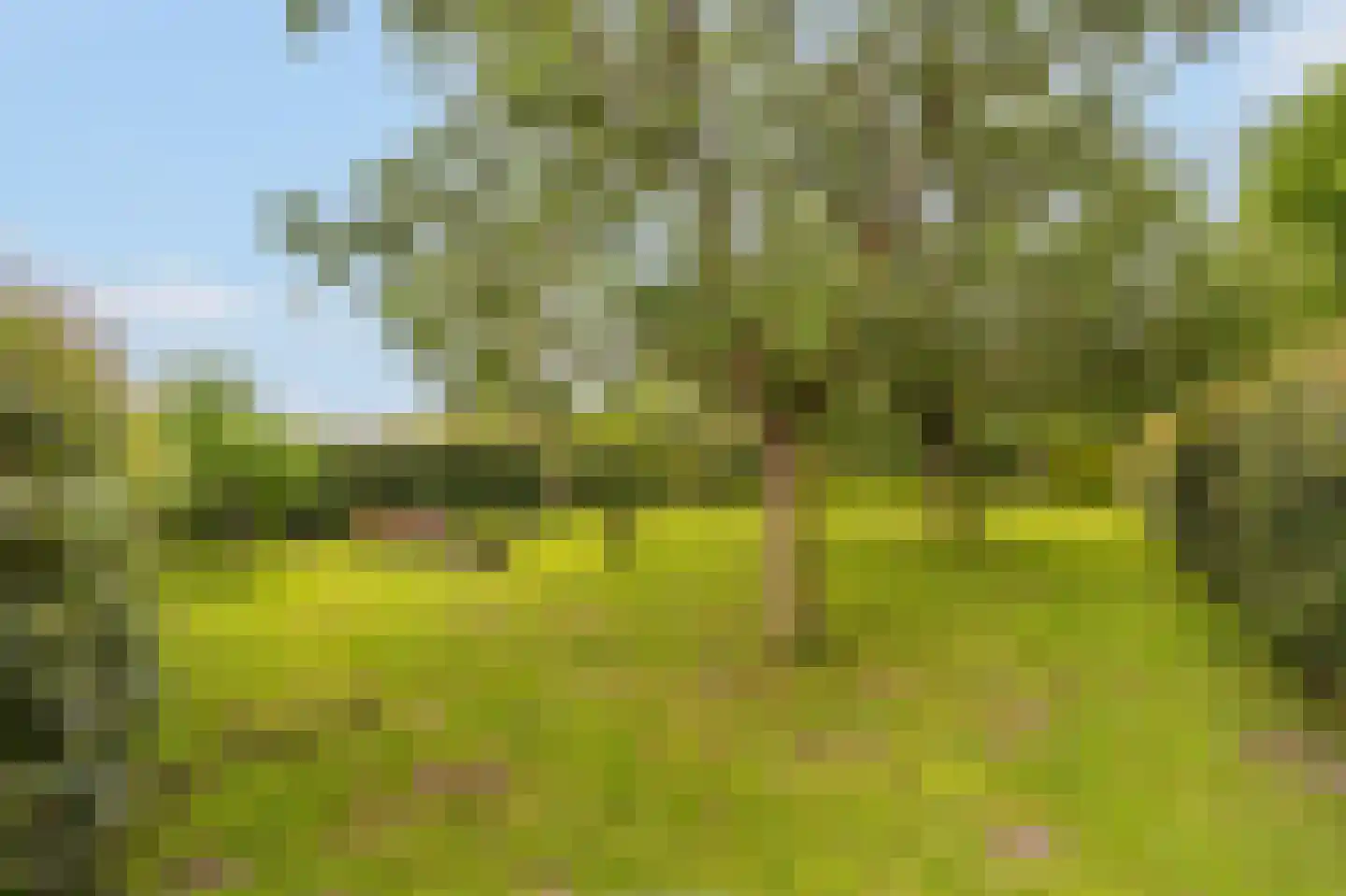 Kringsloot-west 16 Dalfsen thumbnail 44