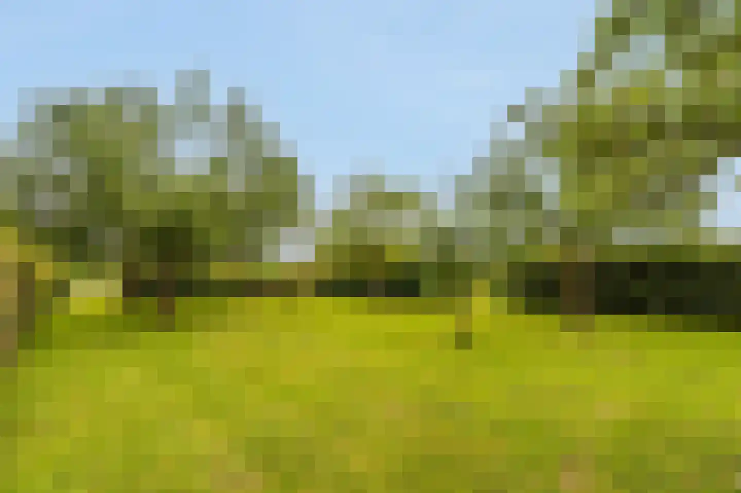 Kringsloot-west 16 Dalfsen thumbnail 45