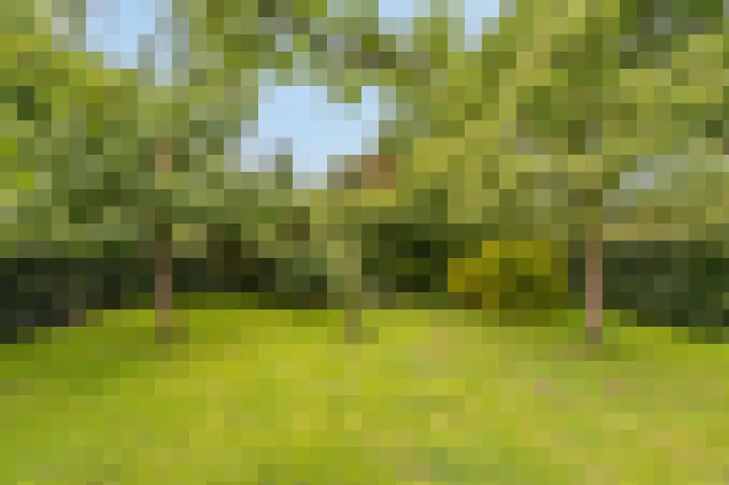 Kringsloot-west 16 Dalfsen thumbnail 46