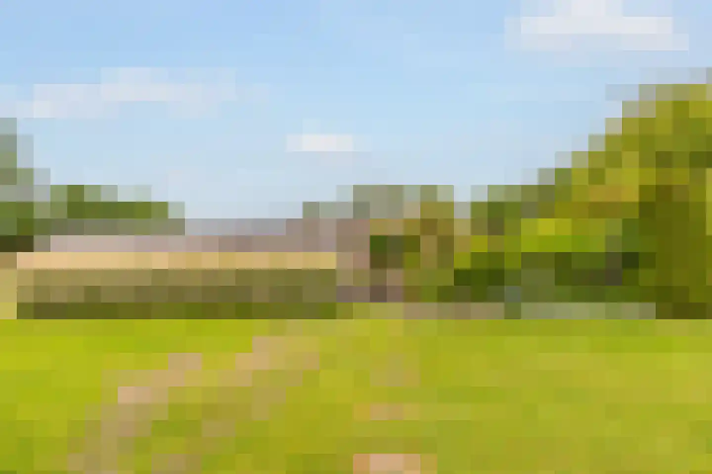 Kringsloot-west 16 Dalfsen thumbnail 47