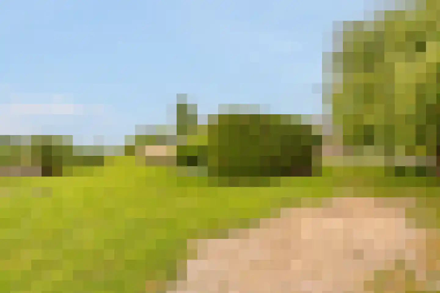 Kringsloot-west 16 Dalfsen thumbnail 48
