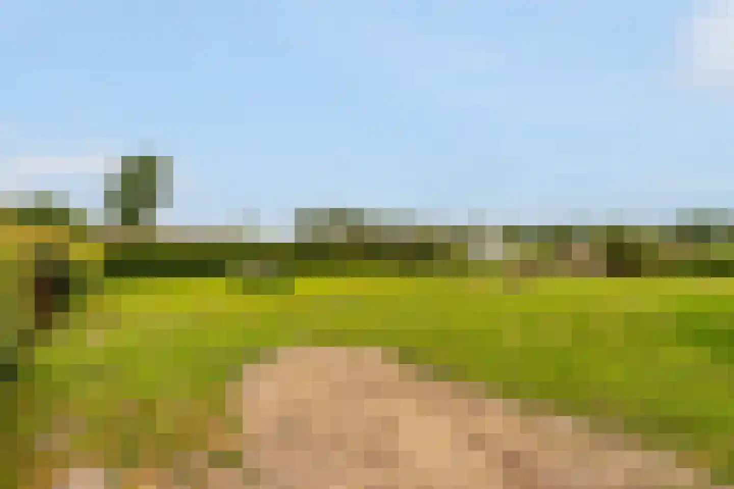 Kringsloot-west 16 Dalfsen thumbnail 49